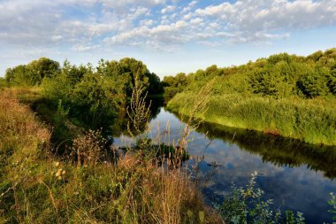 Yazın günbatımında orman nehrinin güzel kırsal manzarası