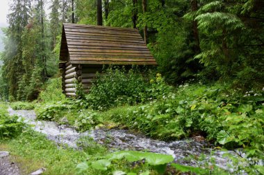 Beautiful nature landscape of the river in carpathian mountains