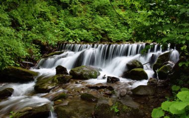 Beautiful nature landscape of the river in carpathian mountains