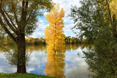 Sonbaharda Saone Nehri 'nin güzel manzarası