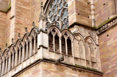 Dijon, Fransa - 24 Ocak 2024: Fransa 'daki Saint Benignus Katedrali