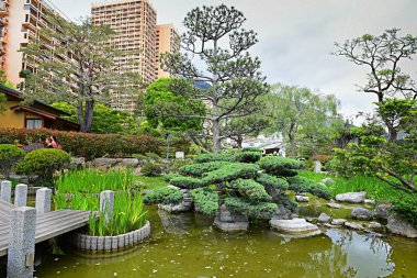 Monte Carlo, Monaco - 20 Nisan 2023: Monte Carlo, Monaco 'da çeşitli bitkilerle botanik bahçesi