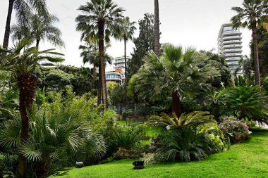 Monte Carlo, Monaco - 20 Nisan 2023: Monte Carlo, Monaco 'da çeşitli bitkilerle botanik bahçesi