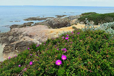 Fransız Atlantik kıyısındaki engebeli kayalıkların ve güçlü okyanus dalgalarının güzel bir manzarası..