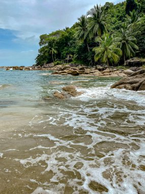 Palmiye ağaçları ve mavi gökyüzü olan güzel tropikal plaj