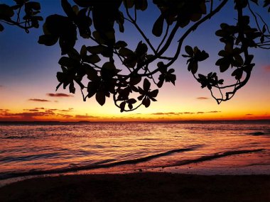 Samish Körfezi 'ndeki Orka adalarının manzarası