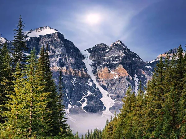 Канадские Скалистые Горы Борловый Лес Национальный Парк Банф Альберта Канада — стоковое фото