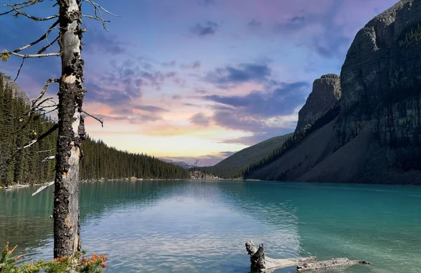 莫兰湖周围环绕着北方森林和冲积扇 加拿大落基山脉 班夫国家公园 艾伯塔省 卡纳德 — 图库照片