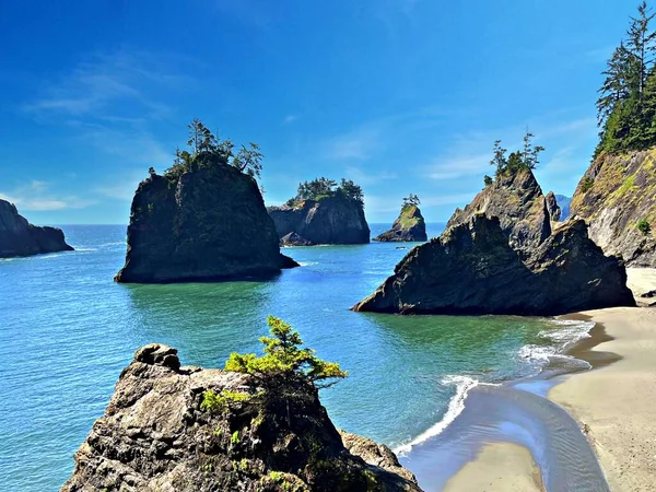 Gold Beach ve Brookings Kıyı Harikaları
