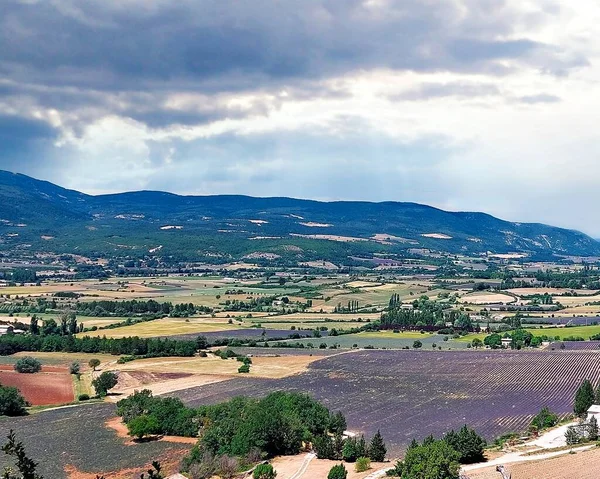 Lavanta tarlaları, hava manzarası, Valensole Platosu, Güney Fransa