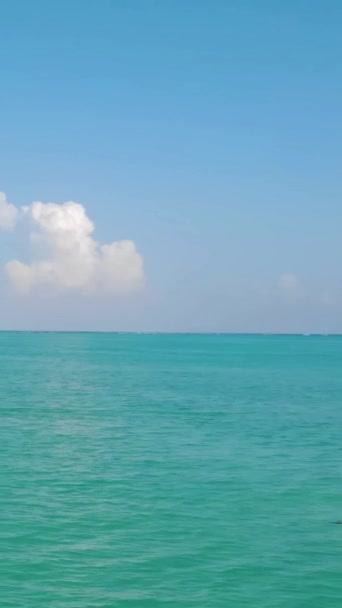 Żeglowanie Krystalicznie Błękitnych Wodach Obejmując Spokój Przygodę Otwartego Morza — Wideo stockowe