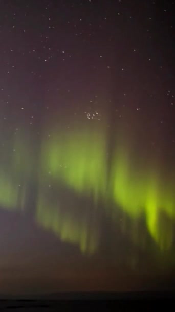 バンクーバー島のオーロラ ボレアリスの息をのむような美しさを体験してください この素晴らしい自然の設定で北のライトの魔法を目撃してください — ストック動画
