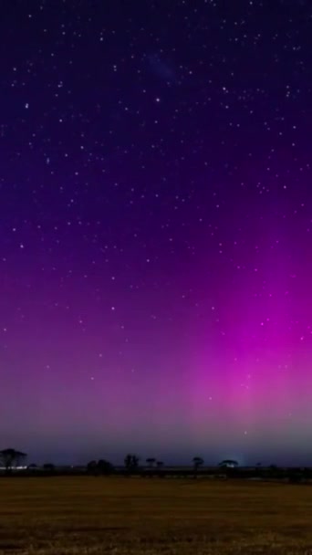 Випробуйте Захоплюючу Красу Аврори Бораліс Острові Ванкувер Свідок Магію Північних — стокове відео