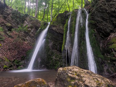 Bahar sisli ormanında şelale