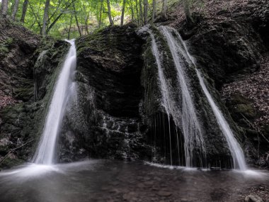 Bahar sisli ormanında şelale