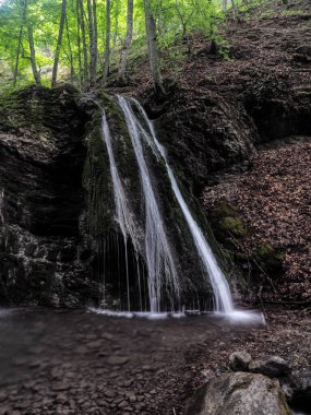 Bahar sisli ormanında şelale