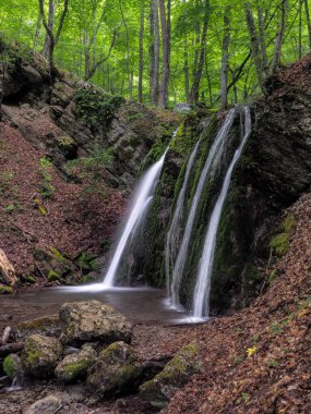 Bahar sisli ormanında şelale