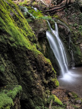 Bahar sisli ormanında şelale