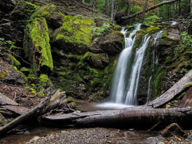 Bahar sisli ormanında şelale