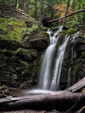 Bahar sisli ormanında şelale