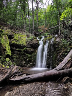 Bahar sisli ormanında şelale