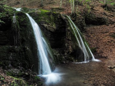 Bahar sisli ormanında şelale