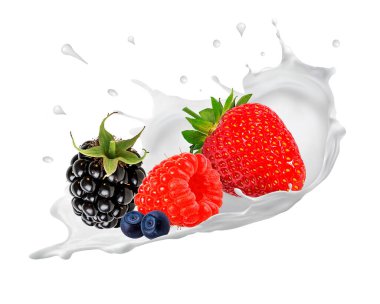Damla damla yoğurt, süt, dondurma olgun yaban mersini, yabanmersini, böğürtlen, ahududu, çilek soyulmuş çilek