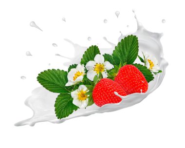 Damla damla yoğurt, süt, dondurmalı çilek...