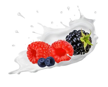 Damla damla yoğurt, süt, dondurma olgun yaban mersini, yabanmersini, böğürtlen, ahududu izole edilmiş