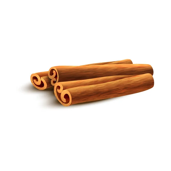 herbal cinnamon realistic vector design