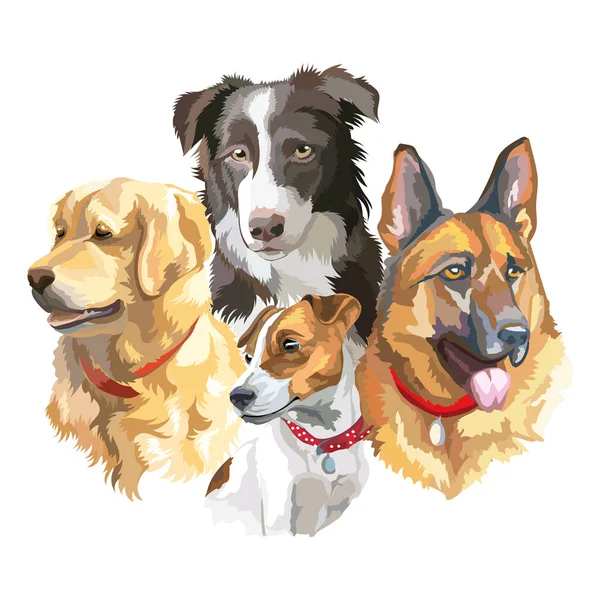  Farklı köpek türlerinin vektörü el çizimi