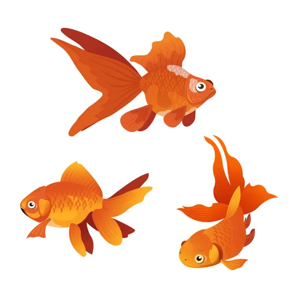 Vektor Ilustrasi Ikan Mas Pada Warna Putih - Stok Vektor