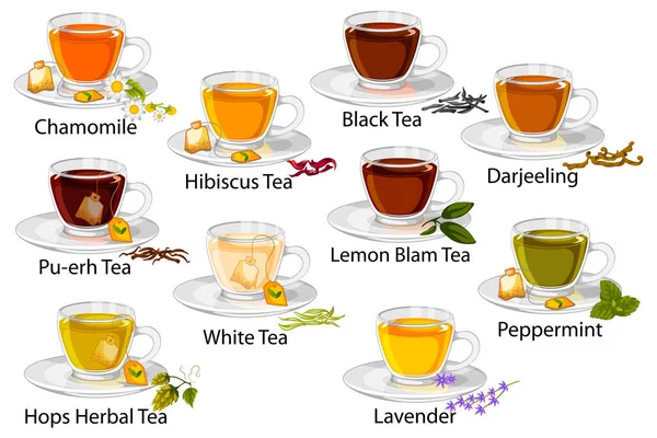 異なる茶コレクションベクトル図 — ストックベクタ