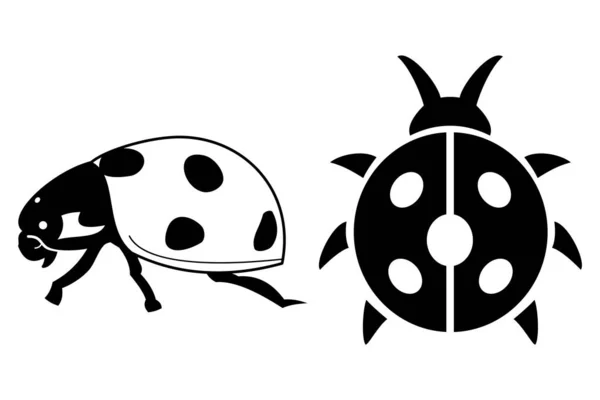 Beetle Silhouette Vector Symbols Logos Icons — Stock Vector