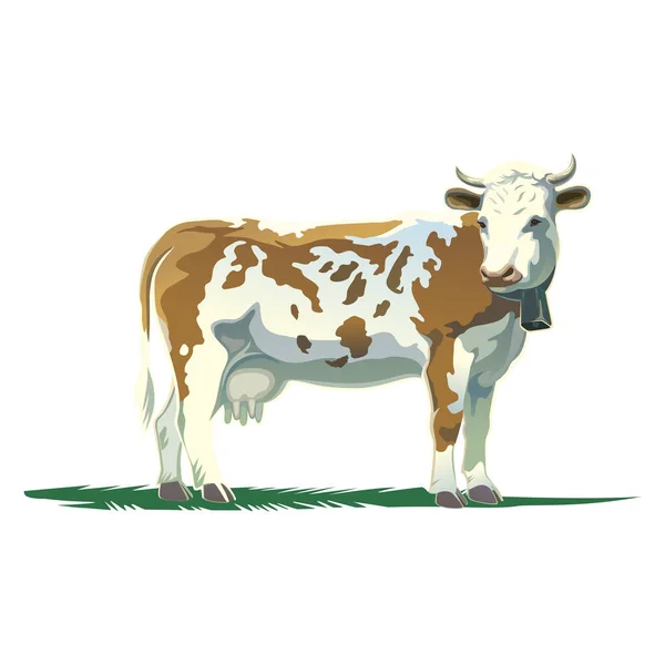Ilustración Vectorial Una Vaca Aislada Blanco — Archivo Imágenes Vectoriales