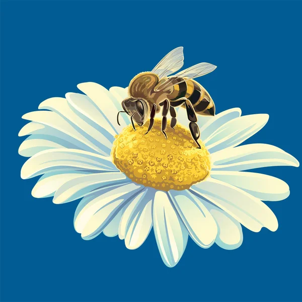 Векторна Ілюстрація Бджоли Над Сонячним Листям — стоковий вектор