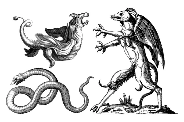 Çizimi Antik Illüstrasyon Klasik Canavarı — Stok Vektör