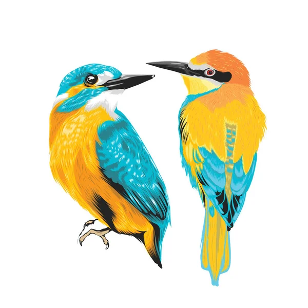 Bellissimo Colorato Uccello Tropicale Vettore Realistico — Vettoriale Stock