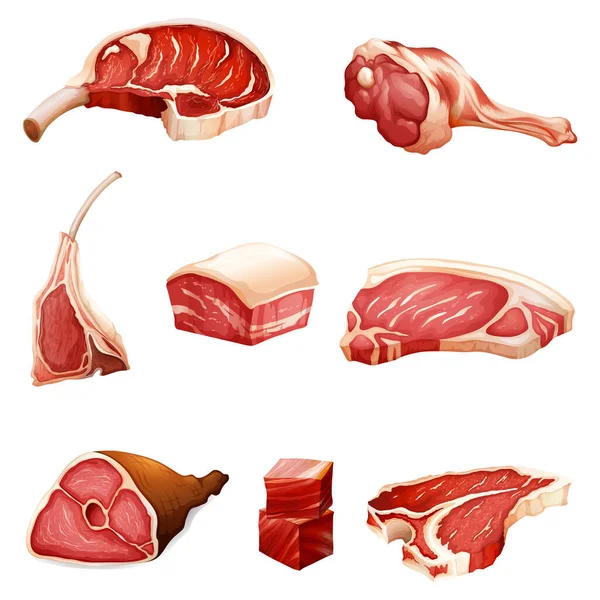 Ilustração Conjunto Carne Fresca Realista Isolado Branco —  Vetores de Stock
