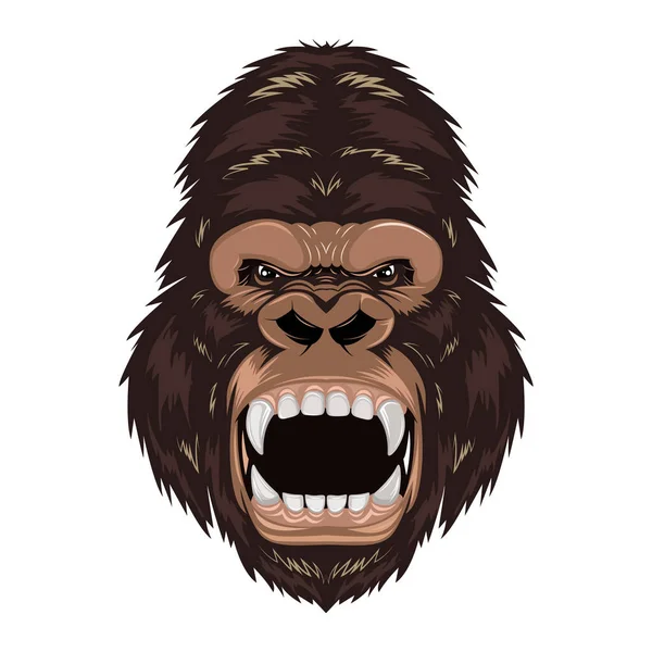 Illustration Vectorielle Tête Gorille Isolé Sur Blanc — Image vectorielle