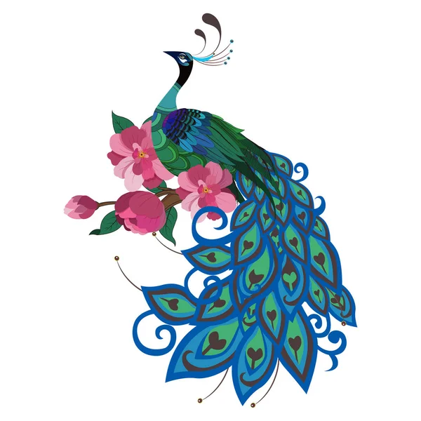 花のある孔雀のベクトル図 — ストックベクタ