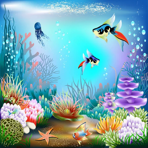 Beautiful Underwater Scenery Illustration Vector — Stock Vector