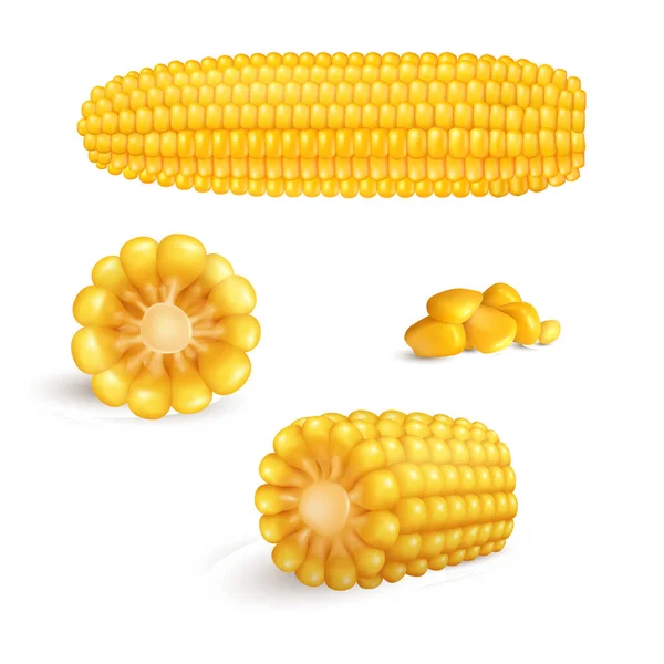 Реалистичные Векторные Кукурузы Изолированные Белом — стоковый вектор