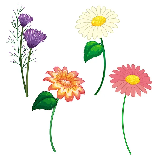 Vector Set of different flowers on a white background. Spring Flowers collection
