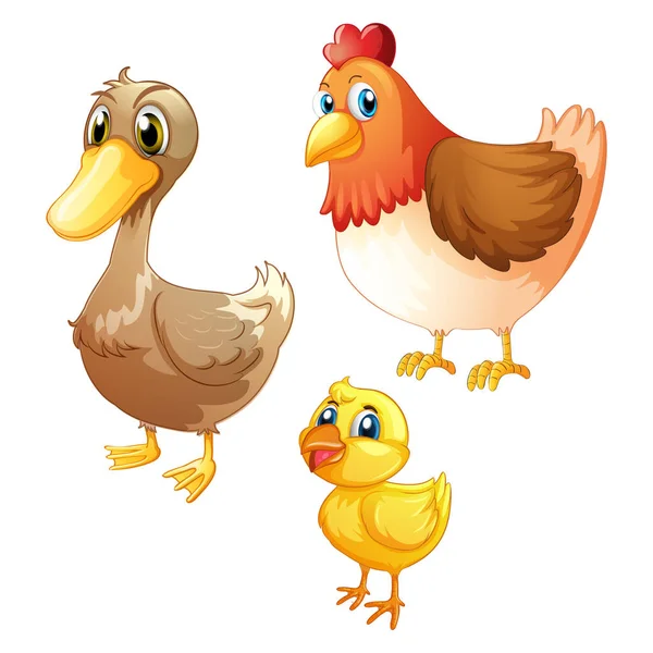 Huhn Und Ente Niedlichen Zeichentrickfigur Vektor — Stockvektor