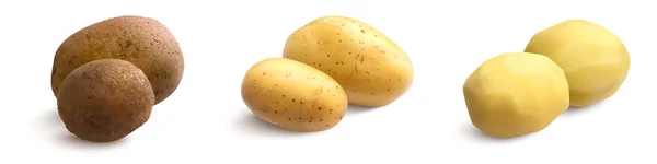 Gerçekçi Vektör Tüm Patates — Stok Vektör