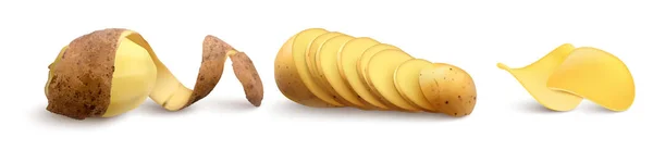Realistic Vector Whole Potato Potato Wedges Potato Chips — Stock Vector