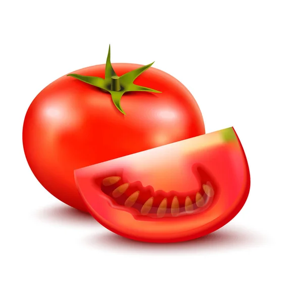 Vector Realista Rodajas Enteras Tomate Tomate — Archivo Imágenes Vectoriales