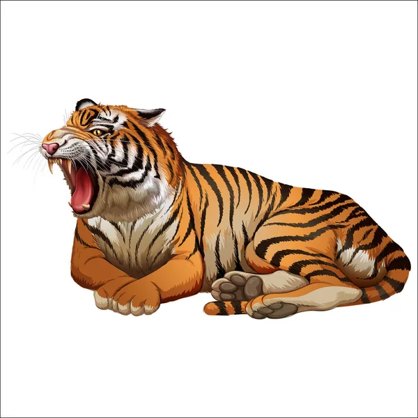Векторний Реалістичний Тигровий Рев Ізольований Білому — стоковий вектор