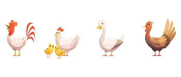 Illustrationsvektor Für Hühner Und Enten — Stockvektor